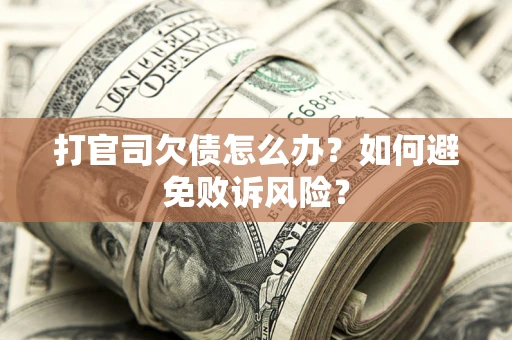 北京打官司欠债怎么办？如何避免败诉风险？