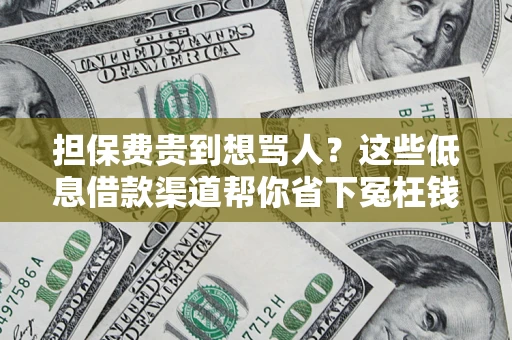 北京担保费贵到想骂人？这些低息借款渠道帮你省下冤枉钱