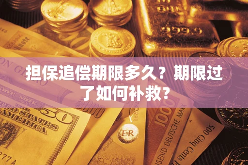 北京担保追偿期限多久？期限过了如何补救？
