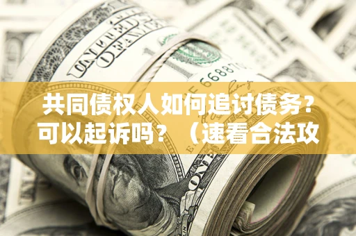 北京共同债权人如何追讨债务？可以起诉吗？（速看合法攻略）